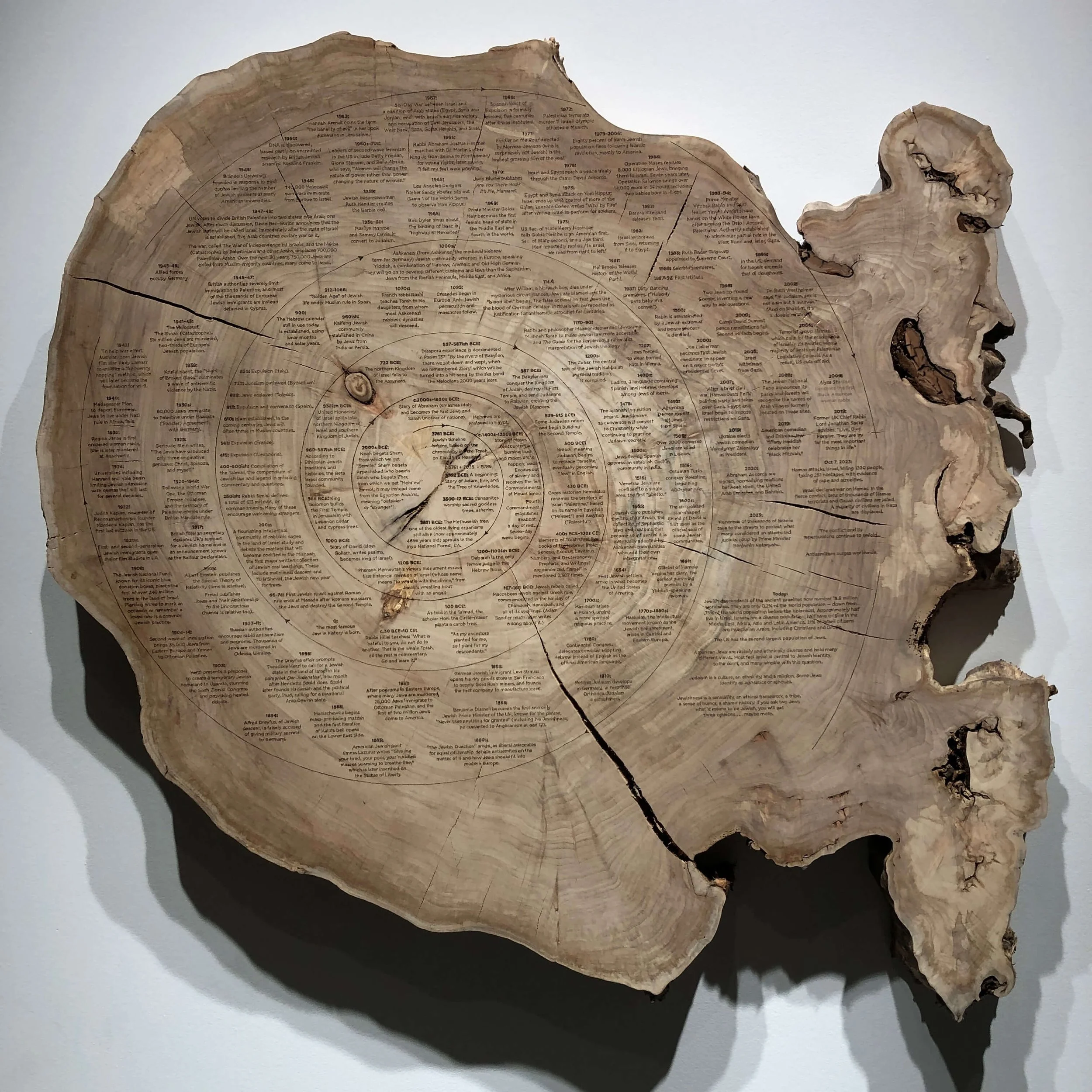 Ken Goldberg and Tiffany Shlain, Ancient Wisdom for a Future